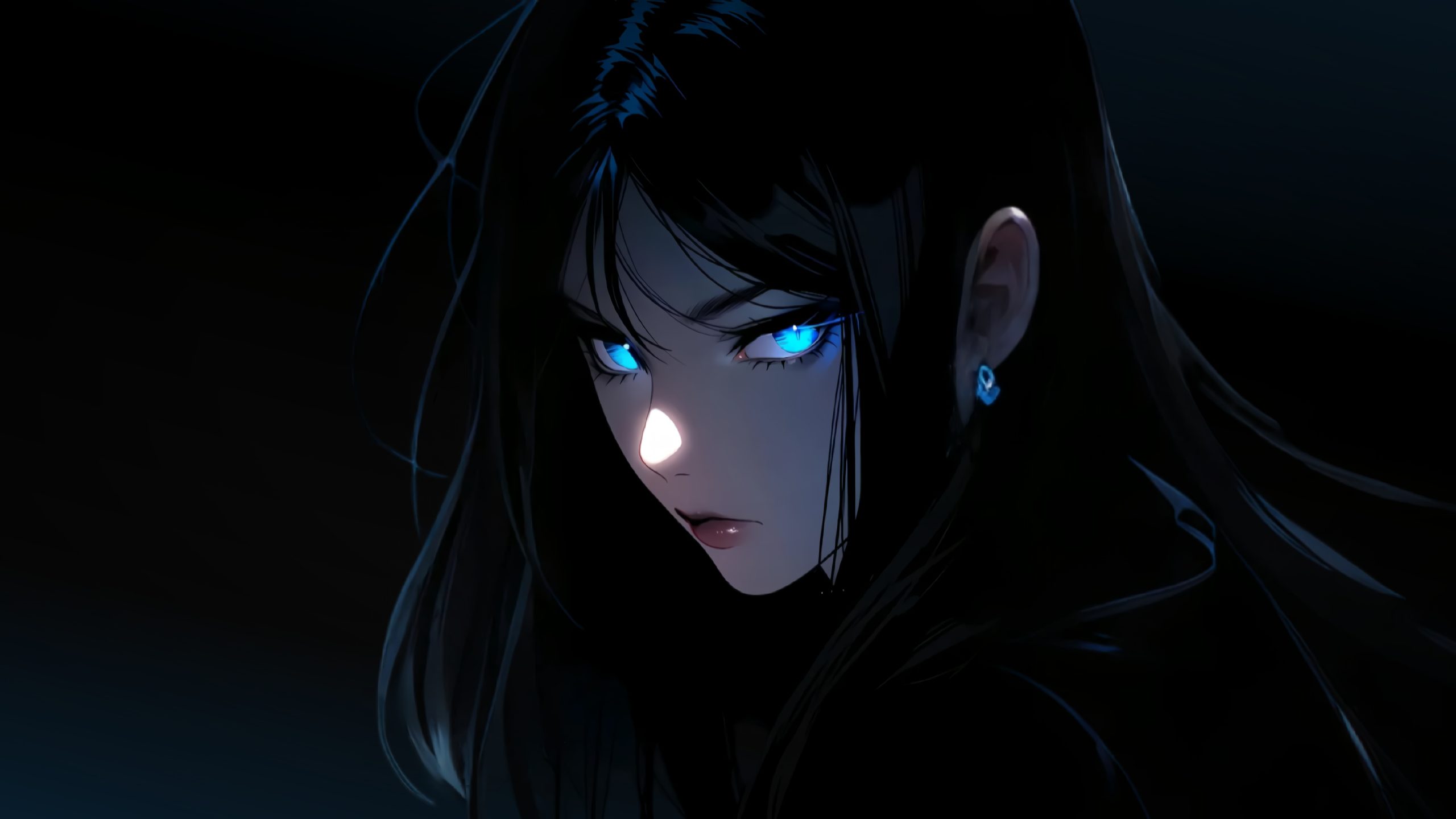 安装有道-专业软件、Udemy付费课程下载，让昂贵的知识触手可及。