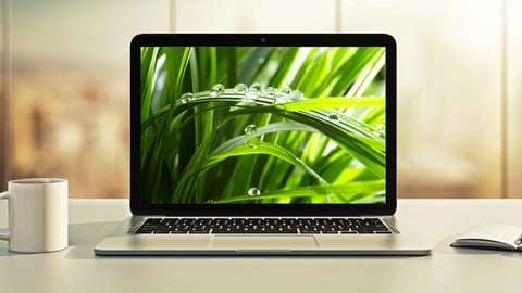 【Udemy中英字幕】Spring Boot 4、Spring 7 和 Hibernate 入门指南-安装有道-专业软件、Udemy付费课程下载，让昂贵的知识触手可及。