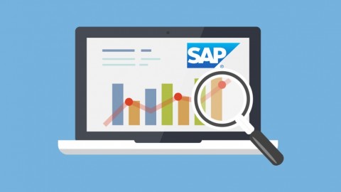 【Udemy中英字幕】学习 SAP BEx 分析器 - 培训课程-安装有道-专业软件、Udemy付费课程下载，让昂贵的知识触手可及。