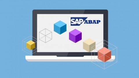 【Udemy中英字幕】学习 SAP ABAP 对象 - 在线培训课程-安装有道-专业软件、Udemy付费课程下载，让昂贵的知识触手可及。